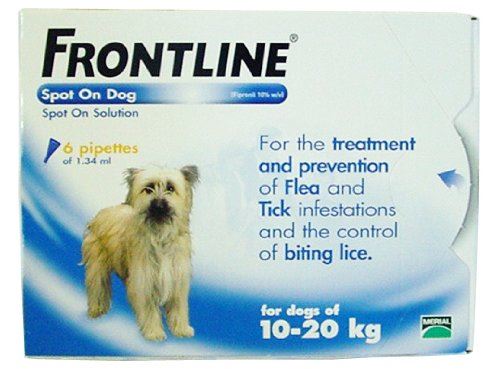 Flea and tick prevention Flea and tick prevention